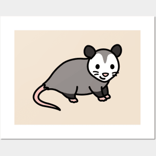 Opossum Posters and Art